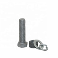 Hot sales Hot Dip Galvanizing Custom Hex/Square Head Bolt